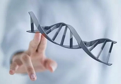 小細胞肺癌需要做基因檢測嗎？