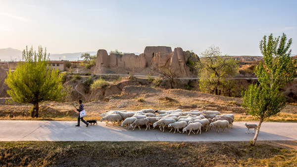 追夢足跡｜上馬圈：鐵馬冰河，黃土斑駁
