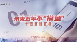 未來五年，不&ldquo;摸魚&rdquo;