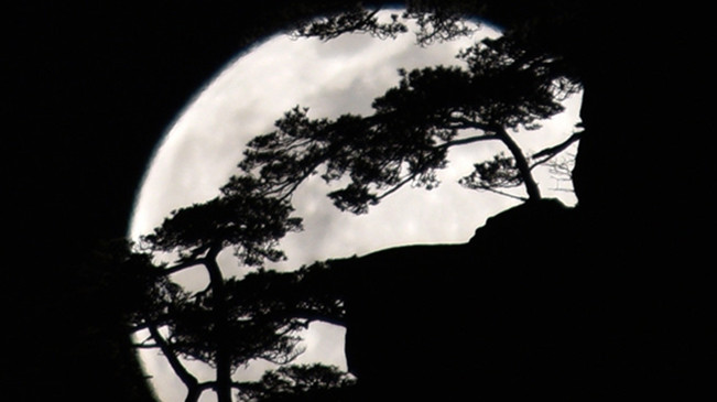 太驚艷！明月奇松 夢(mèng)幻同框