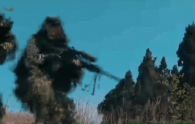 突入，擊斃！直擊武警特戰(zhàn)反劫持演練！