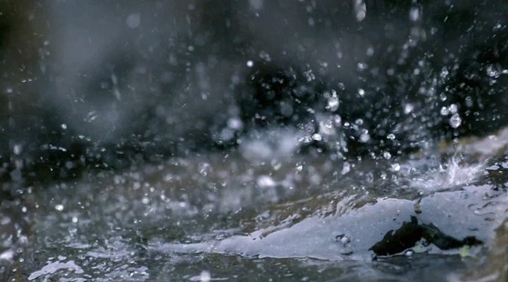 城市內澇暴雨避險指南來了！