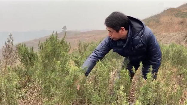 新春走基層｜脫貧后，駐村扶貧隊(duì)長(zhǎng)在干啥？