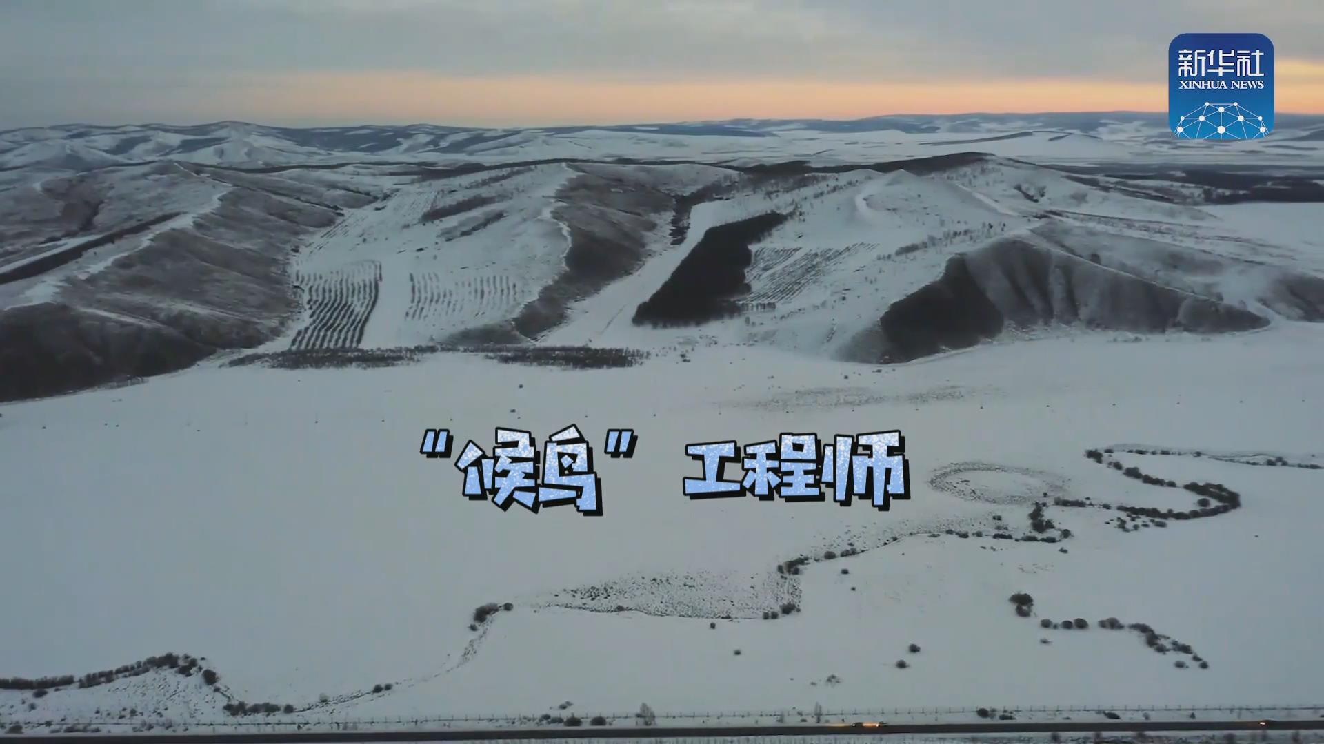 我們在奔跑丨一路向北！他是逆行的&ldquo;候鳥&rdquo;