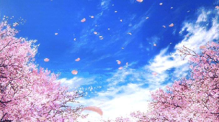 寧波這個(gè)地方早櫻花開成海，滿足你對(duì)春天的所有想象