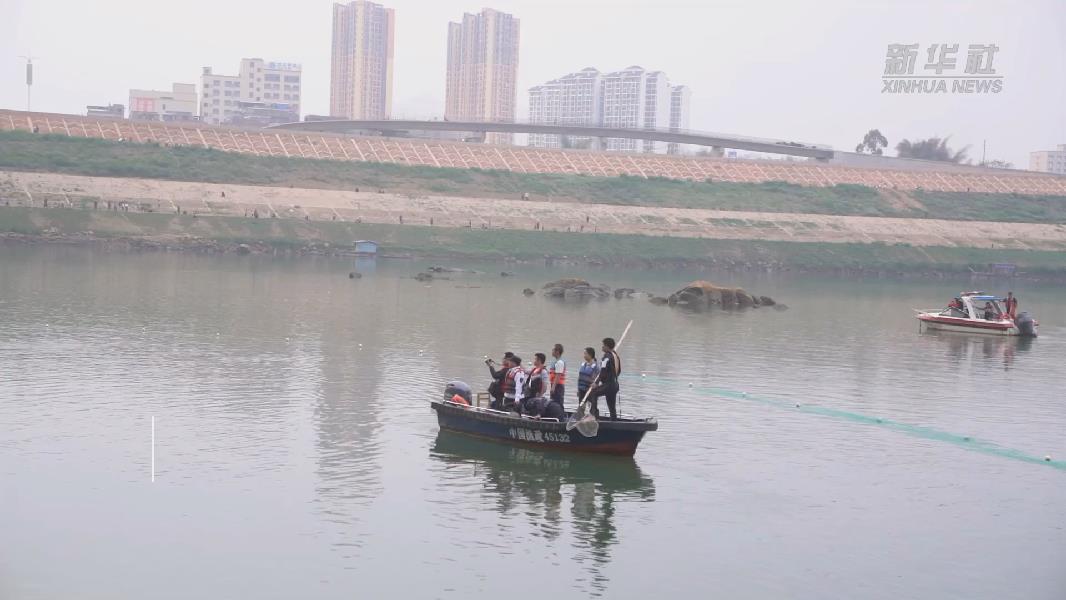 緊急救援&ldquo;誤闖&rdquo;內(nèi)水中華白海豚