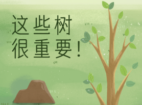 這些樹很重要！