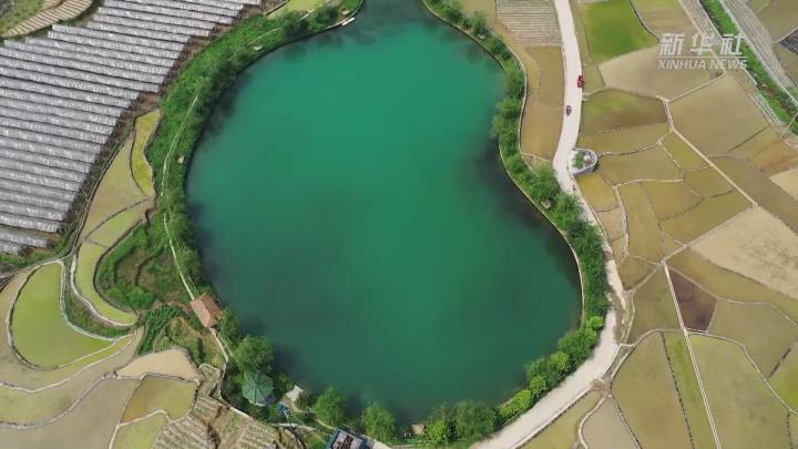 稻田新插，這里的山村美翻了！