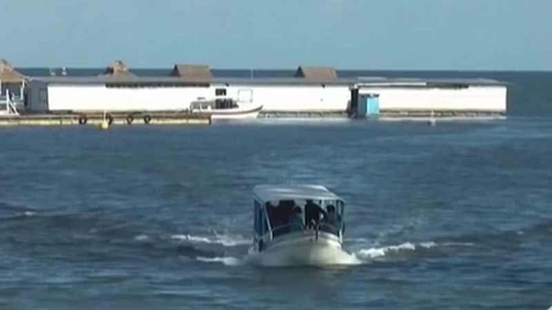 整頓！ 非法營業(yè) 印尼巴厘島解救七只寬吻海豚