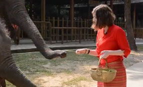 勐巴拉娜西！&ldquo;洋記者&rdquo;帶你游西雙版納