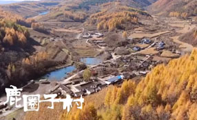 探秘關(guān)東人家，畫一個童話里的秋天