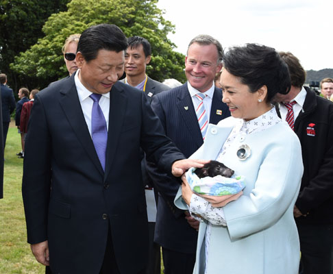 11月18日，國家主席習(xí)近平在澳大利亞塔斯馬尼亞州與朗塞斯頓市斯科奇－歐克伯恩小學(xué)的小學(xué)生共同植樹。這是習(xí)近平和夫人彭麗媛植樹后撫摸袋獾。新華社記者 馬占成 攝