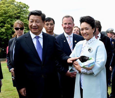 11月18日，國家主席習(xí)近平在澳大利亞塔斯馬尼亞州與朗塞斯頓市斯科奇－歐克伯恩小學(xué)的小學(xué)生共同植樹。這是習(xí)近平和夫人彭麗媛植樹后撫摸袋獾。新華社記者 饒愛民 攝