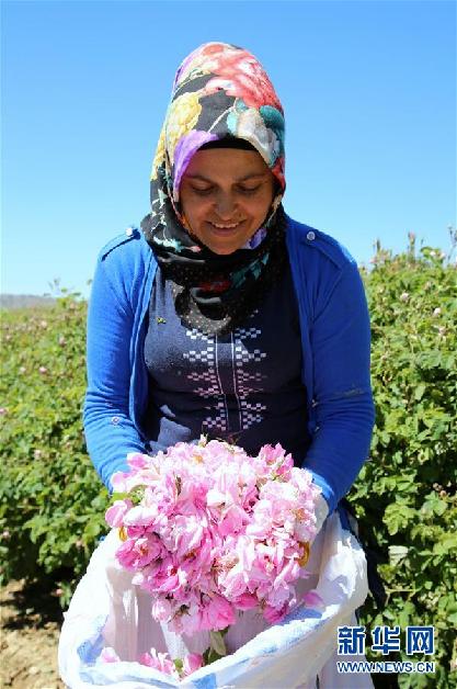 （國際&middot;圖文互動）通訊：土耳其&ldquo;玫瑰經(jīng)濟(jì)&rdquo;看好中國市場