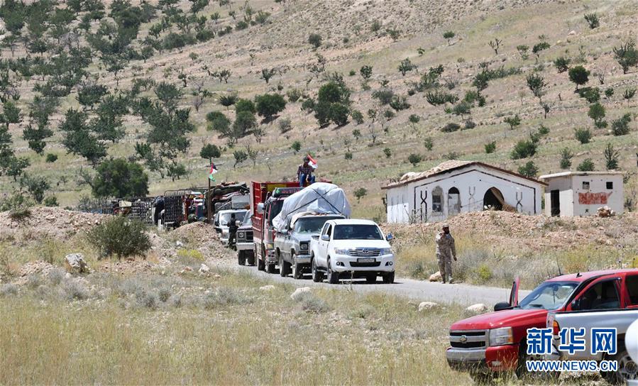 （國(guó)際&middot;圖文互動(dòng)）（5）歸鄉(xiāng)，不再流浪&mdash;&mdash;記敘利亞難民返鄉(xiāng)