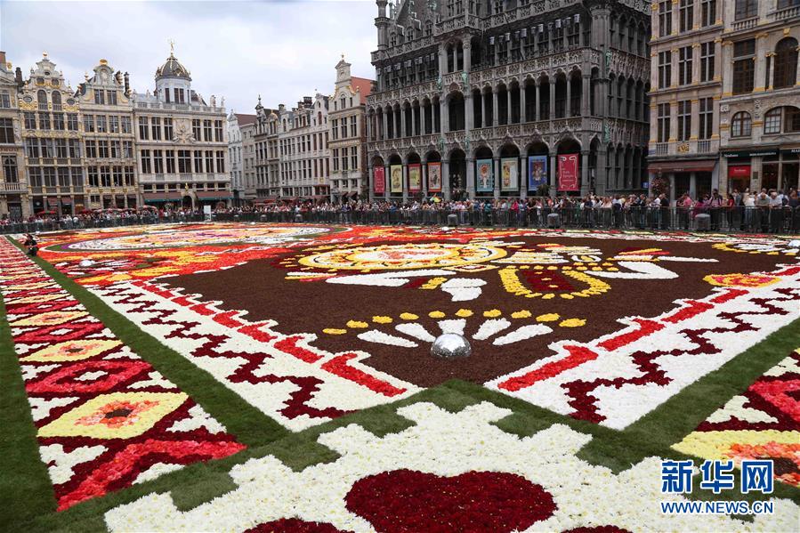 （國際）（2）布魯塞爾鮮花地毯