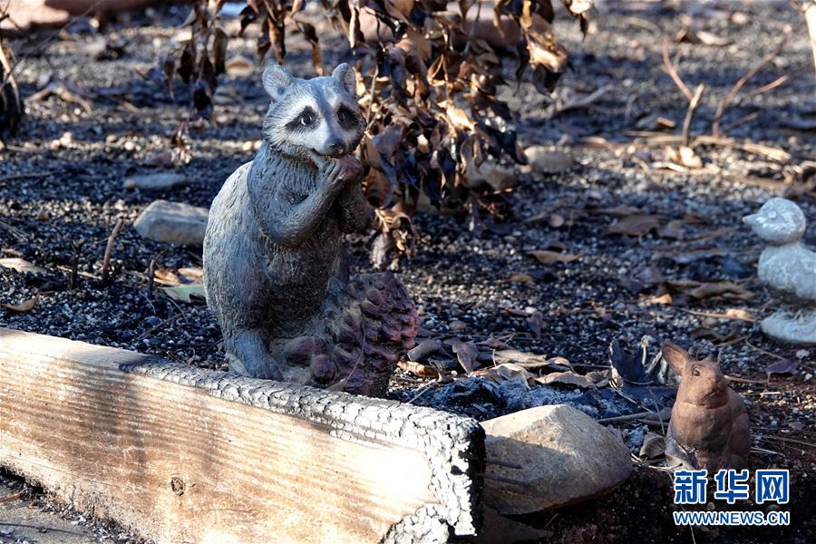 （國(guó)際&middot;圖文互動(dòng)）（4）一場(chǎng)山火，讓這個(gè)冬天格外冷&mdash;&mdash;探訪美國(guó)加州山火災(zāi)區(qū)