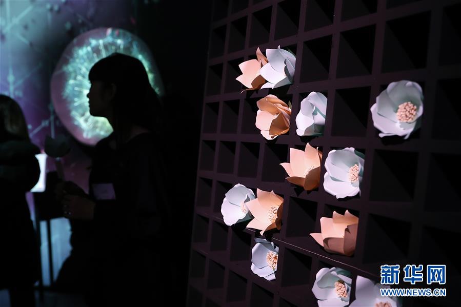 （國(guó)際）（3）日本東京：寒冬時(shí)節(jié)賞&ldquo;繁花&rdquo; 