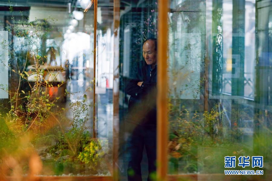 （國際&middot;圖文互動）（4）通訊：敲響半島和平鐘聲&mdash;&mdash;走訪韓朝非軍事區(qū)首爾藝術(shù)展