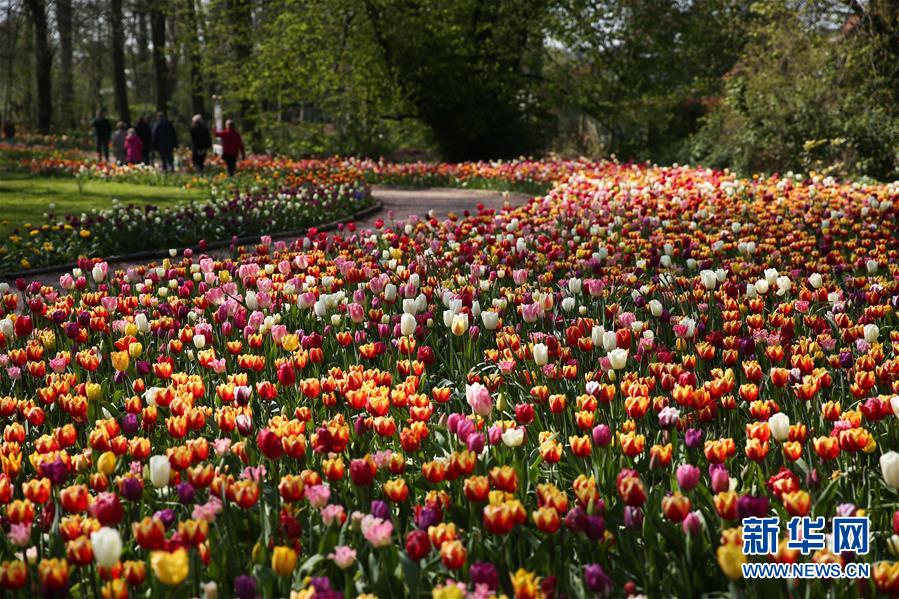 （國際&middot;北京世園會）（21）世界園林巡禮&mdash;&mdash;比利時拜加登城堡