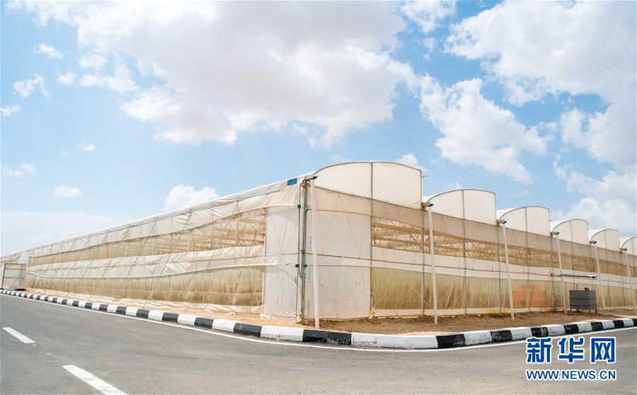 （國際&middot;&ldquo;一帶一路&rdquo;高峰論壇&middot;圖文互動）（1）荒漠正在成為瓜果飄香的綠洲&mdash;&mdash;記中國國機重工埃及現(xiàn)代農(nóng)業(yè)溫室項目