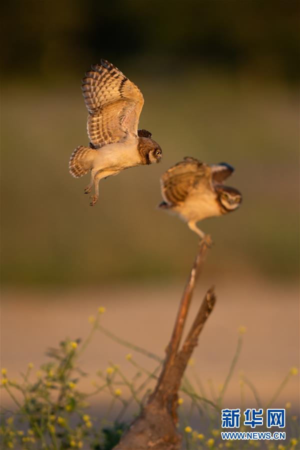 （國際&middot;一周看天下）練習