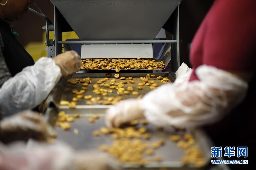 （國際&middot;圖文互動(dòng)）（8）通訊：期待美中盡早達(dá)成貿(mào)易協(xié)議&mdash;&mdash;颶風(fēng)和關(guān)稅夾擊下的美國山核桃種植戶盼重回中國市場