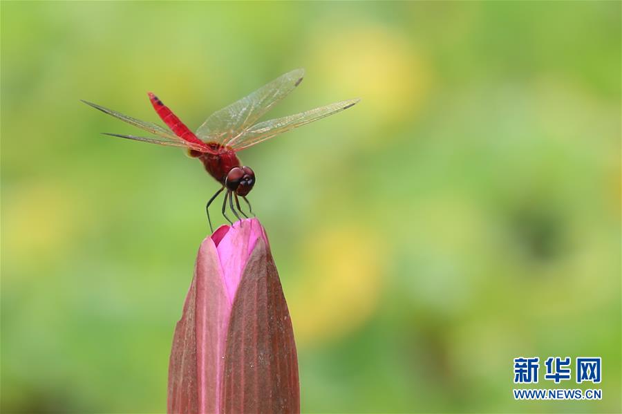 （國(guó)際&middot;年終報(bào)道）（7）2019，精&ldquo;彩&rdquo;紛呈