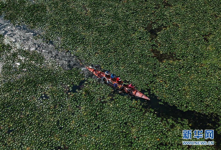 （國際&middot;年終報道）（8）2019，精&ldquo;彩&rdquo;紛呈