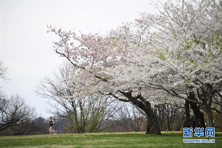 （國(guó)際疫情）（3）約翰斯&middot;霍普金斯大學(xué)：美國(guó)新冠肺炎確診病例超10萬例