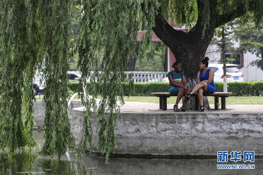 （中非團結(jié)抗疫故事&middot;圖文互動）（5）坦桑尼亞留學生譚麗：離家千里 生活一樣溫暖而多彩