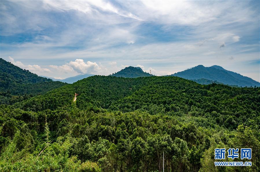 （第三屆進(jìn)博會&middot;圖文互動）（2）專訪：進(jìn)博會提供了一個共享中國發(fā)展機(jī)遇的平臺