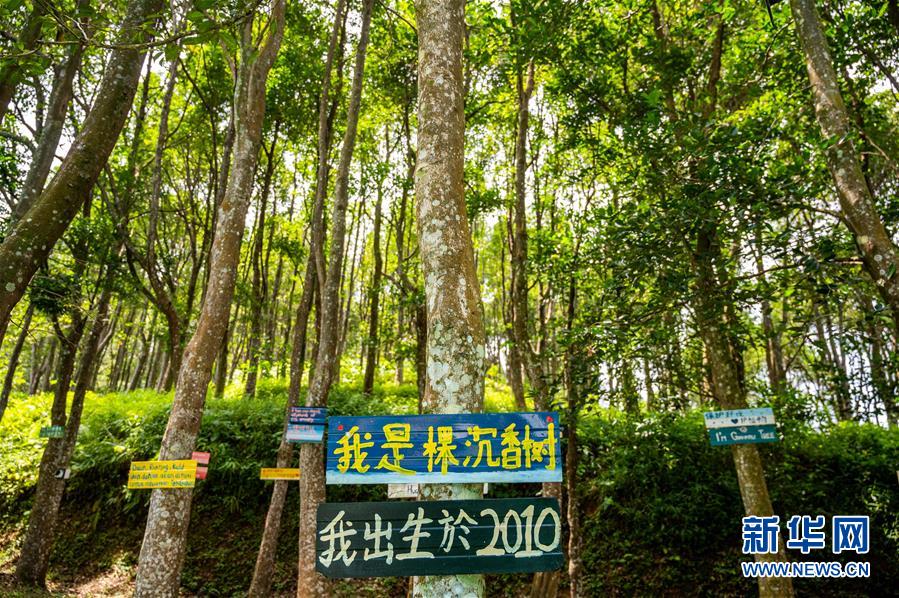 （第三屆進(jìn)博會&middot;圖文互動）（10）專訪：進(jìn)博會提供了一個共享中國發(fā)展機(jī)遇的平臺