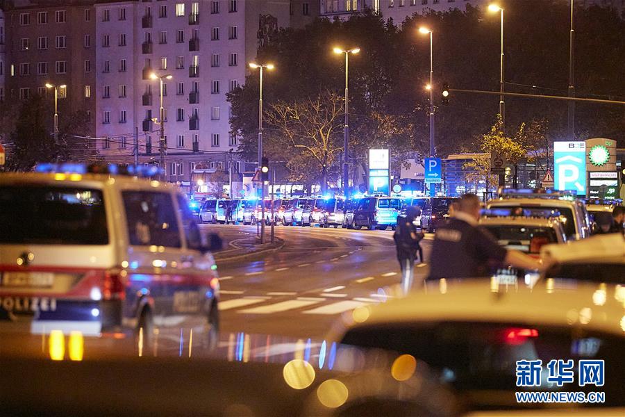 (國際)(3)維也納發(fā)生槍擊事件