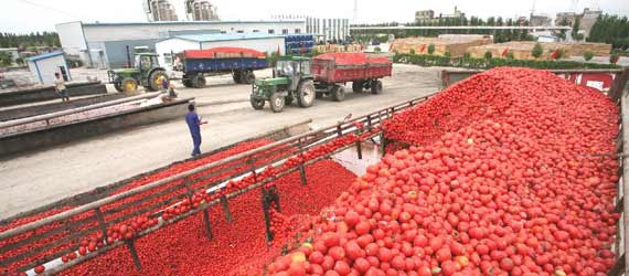 中國(guó)推動(dòng)構(gòu)建共贏、互信、發(fā)展的新絲綢之路