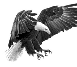 誰是世界秩序的真正破壞者？