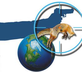 中國全球&ldquo;獵狐&rdquo;戰(zhàn)果豐碩！