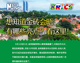 金磚會晤有哪些亮點(diǎn)？看這里！