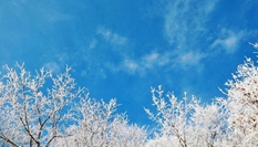 湖北?？蹈呱届F凇美如畫