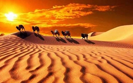 自然延伸 揚帆遠航&mdash;&mdash;"一帶一路"的拉美故事