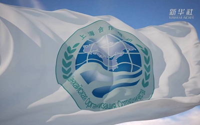 你好，上合！