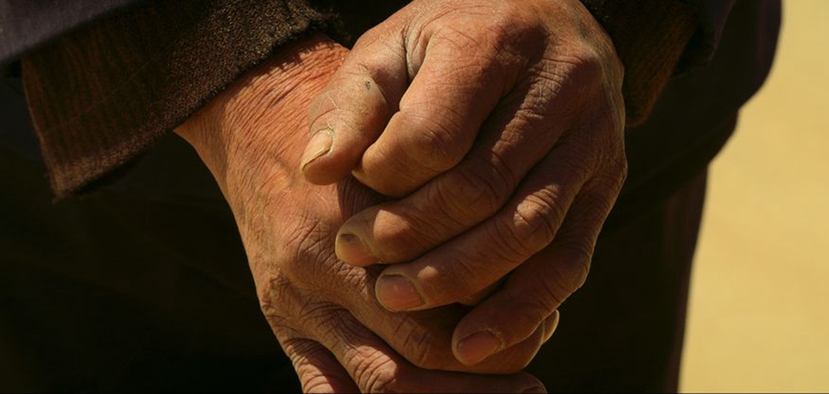 正式發(fā)布！《攜手，為人民》中國共產(chǎn)黨與世界政黨領(lǐng)導(dǎo)人峰會暖場片