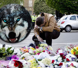 血案頻發(fā) "獨狼"緣何兇猛？