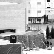 驗尸能否解開謎團？