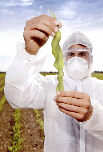 轉(zhuǎn)基因&ldquo;轉(zhuǎn)&rdquo;的是什么？